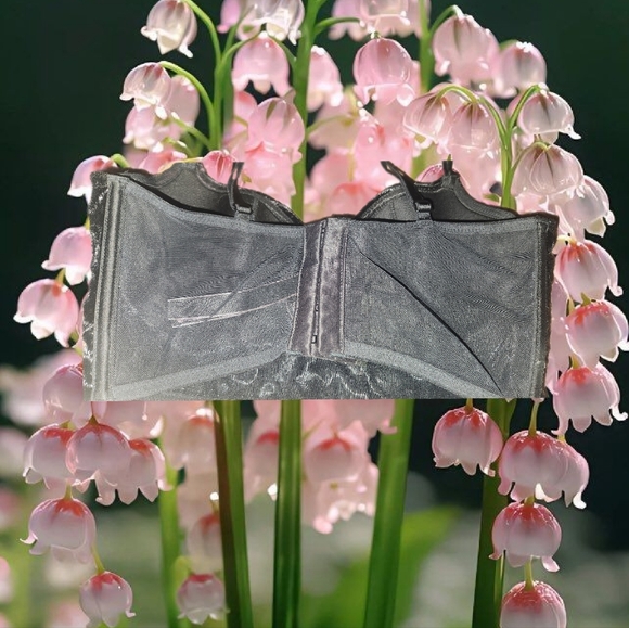 Bra - Picture 6 of 7